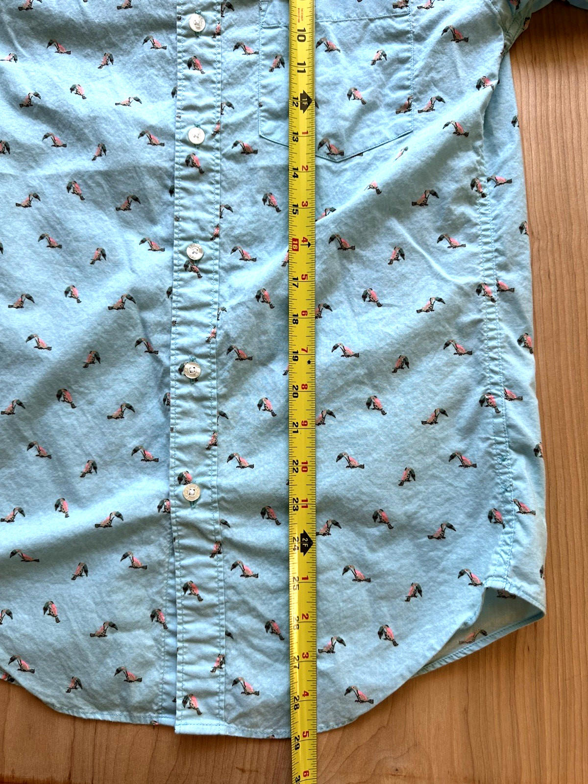 J CREW OXFORD tucan print BUTTON UP teal TROPICAL xtra small PREPPY