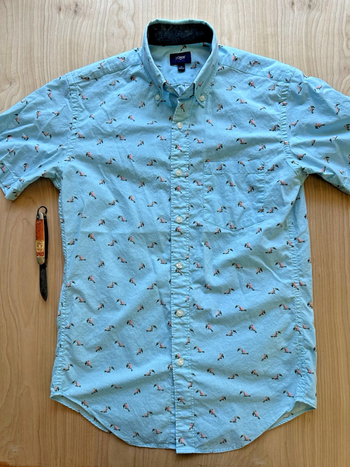 J CREW OXFORD tucan print BUTTON UP teal TROPICAL xtra small PREPPY