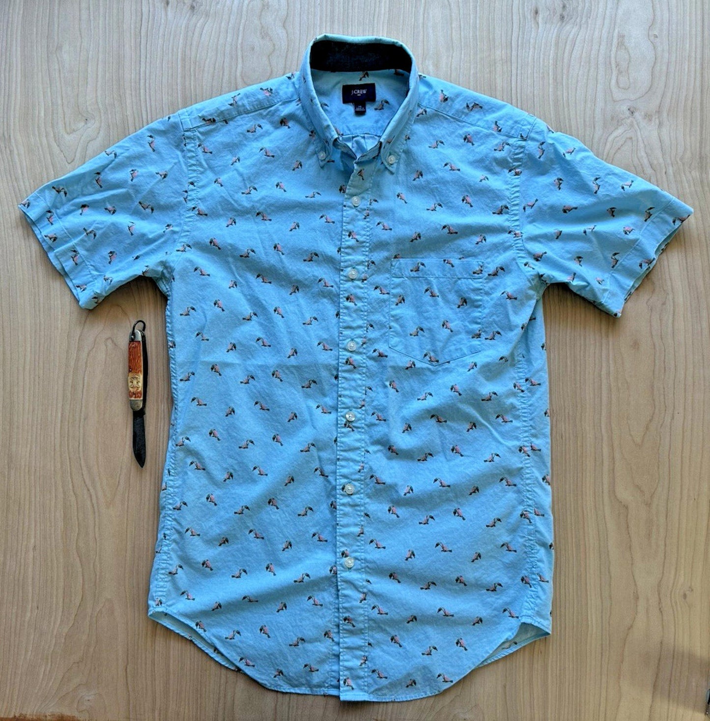 J CREW OXFORD tucan print BUTTON UP teal TROPICAL xtra small PREPPY
