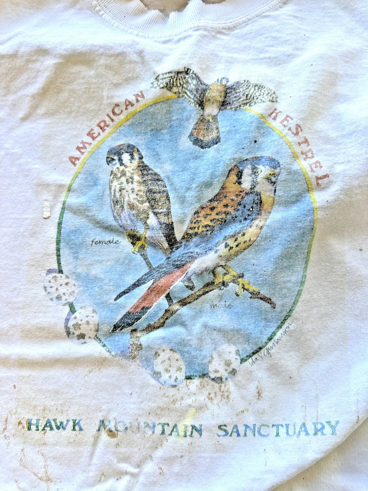 Hawk Mountain Sanctuary vintage Long Sleeve t shirt American Kestrel faded