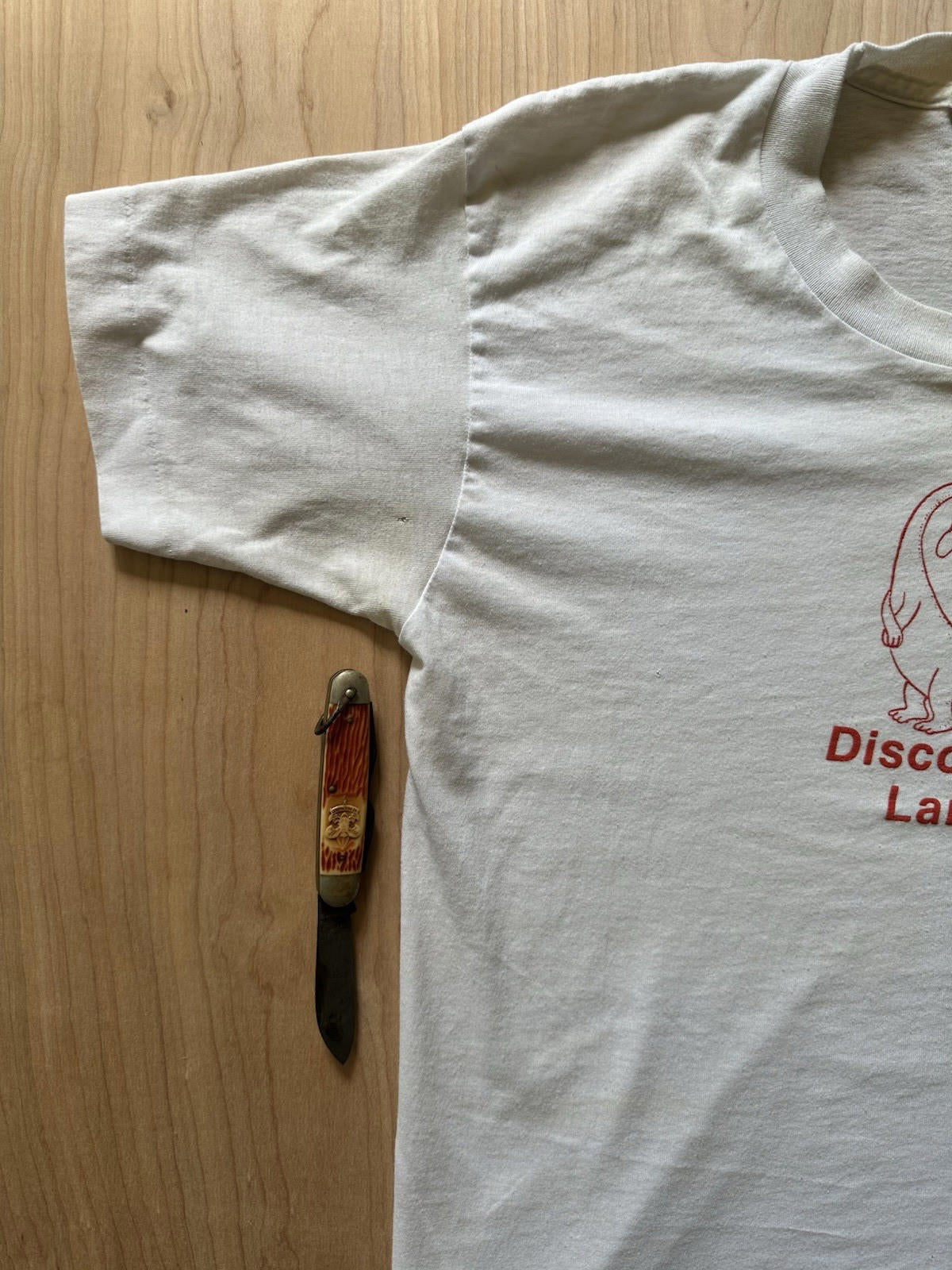 vintage DISCOVERY LAND cartoon DINOSAUR single stitch MEDIUM flinstones Dino