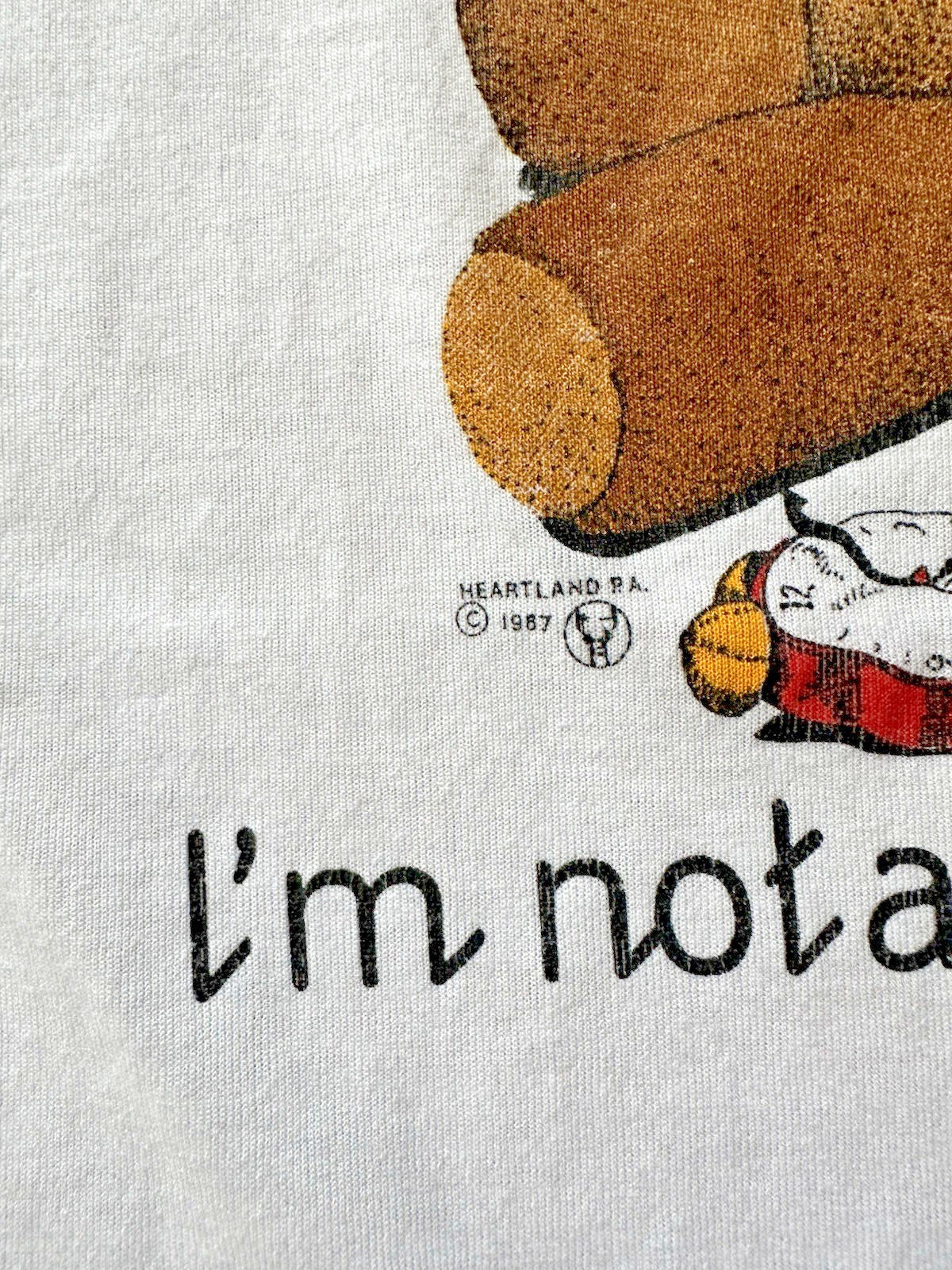 Vintage Bear With Me I’m Not A Morning Person T-Shirt Adult XL White 1990