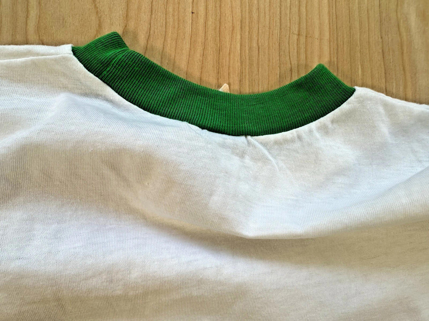 vintage 70's WINNEBAGO SCOUT RESERVATION camp ringer T SHIRT clean SMALL
