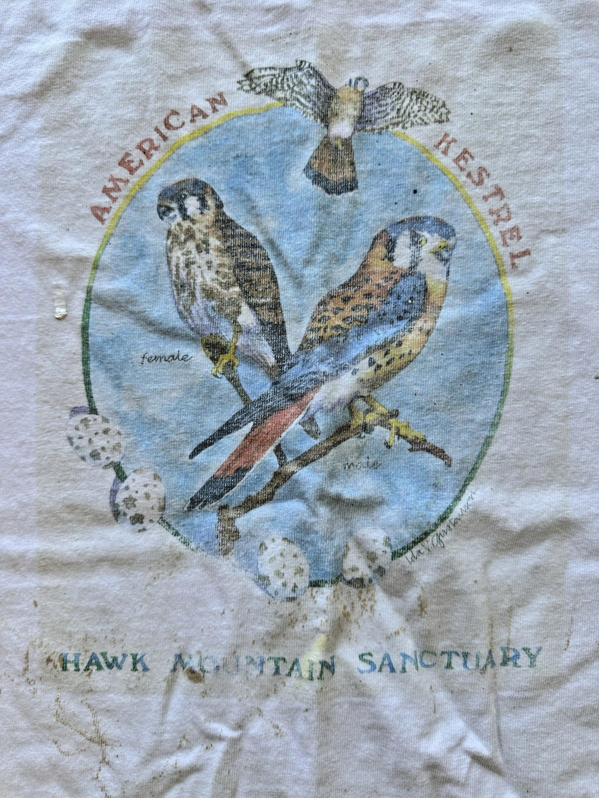 Hawk Mountain Sanctuary vintage Long Sleeve t shirt American Kestrel faded