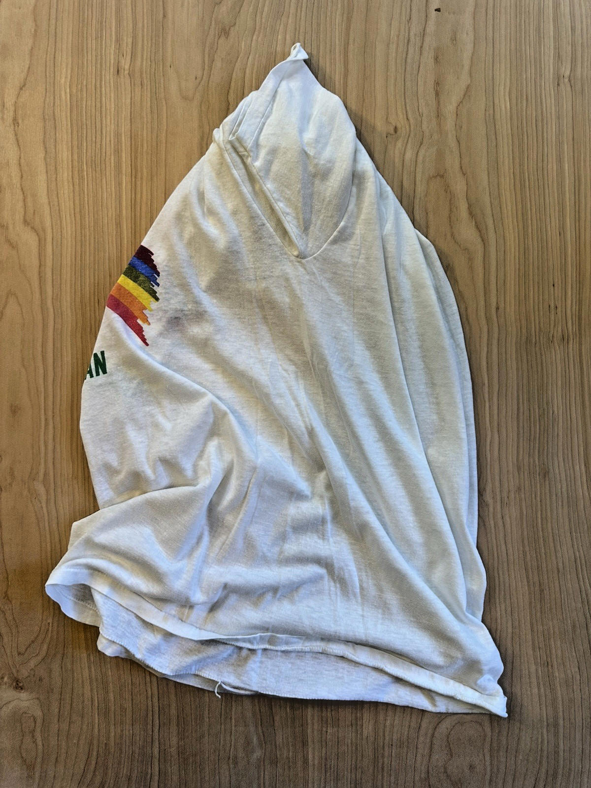 Vintage 80’s MICHIGAN STATE university SPARTANS  T Shirt RAINBOW 5050 Label Rare