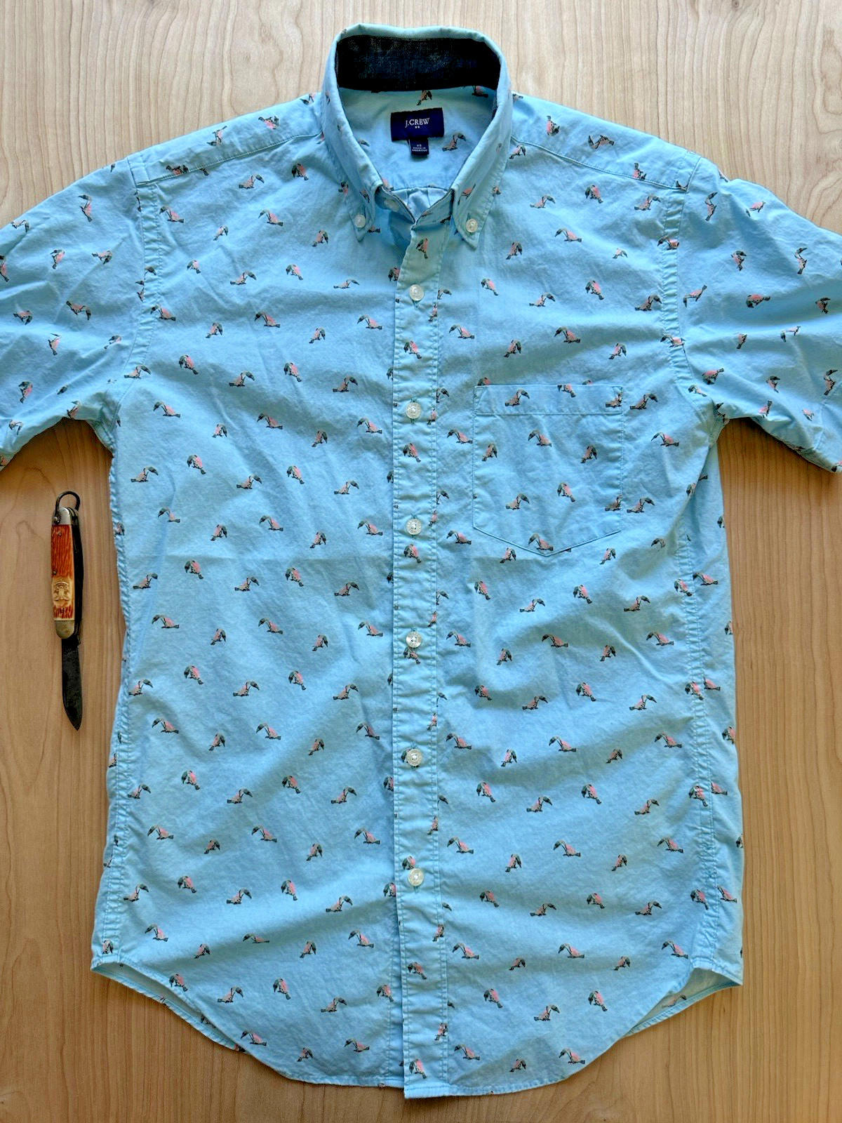 J CREW OXFORD tucan print BUTTON UP teal TROPICAL xtra small PREPPY