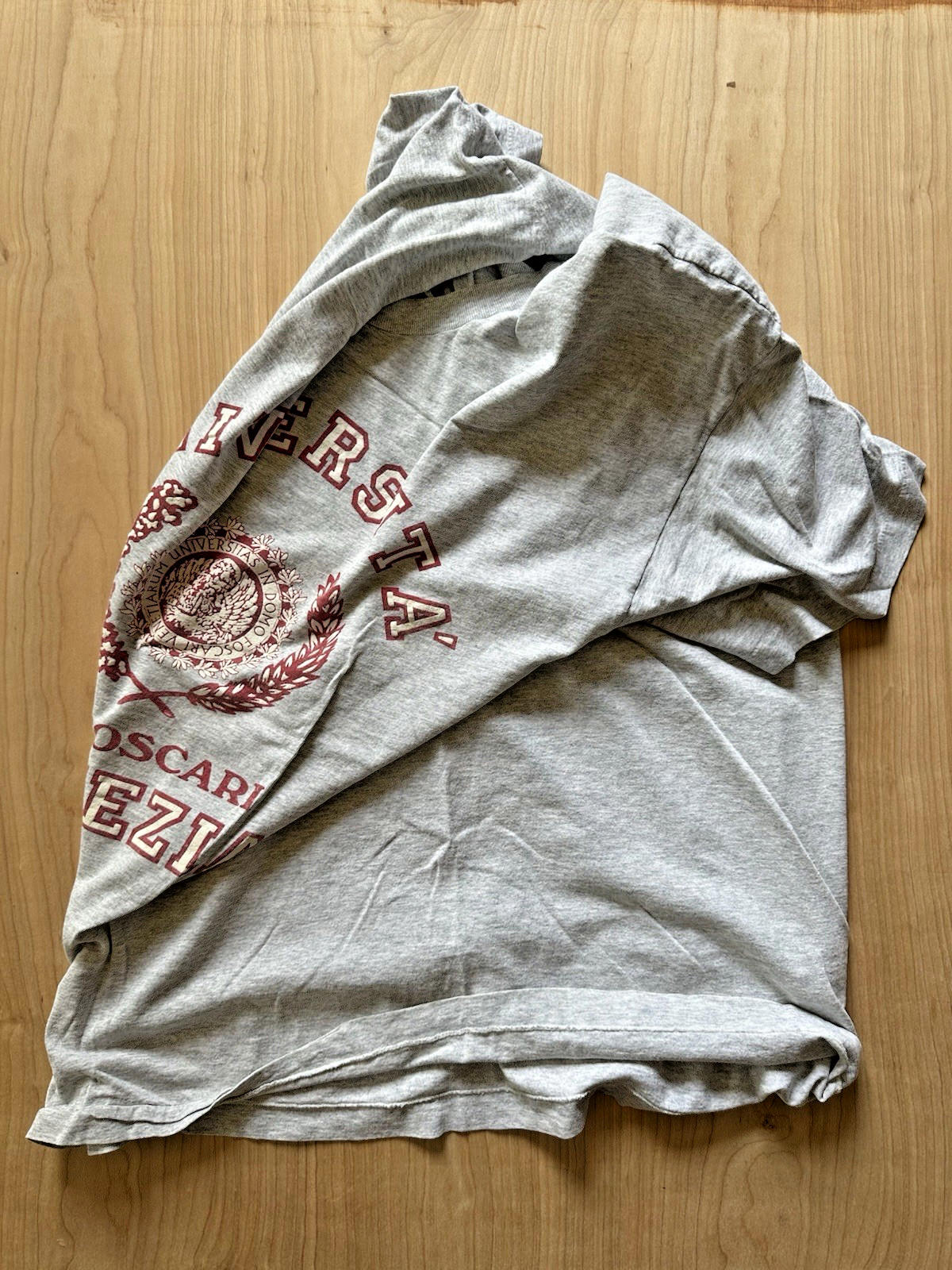 vintage UNIVERSITY of VENICE screen stars 1990's rare af GRAY XTRA LARGE