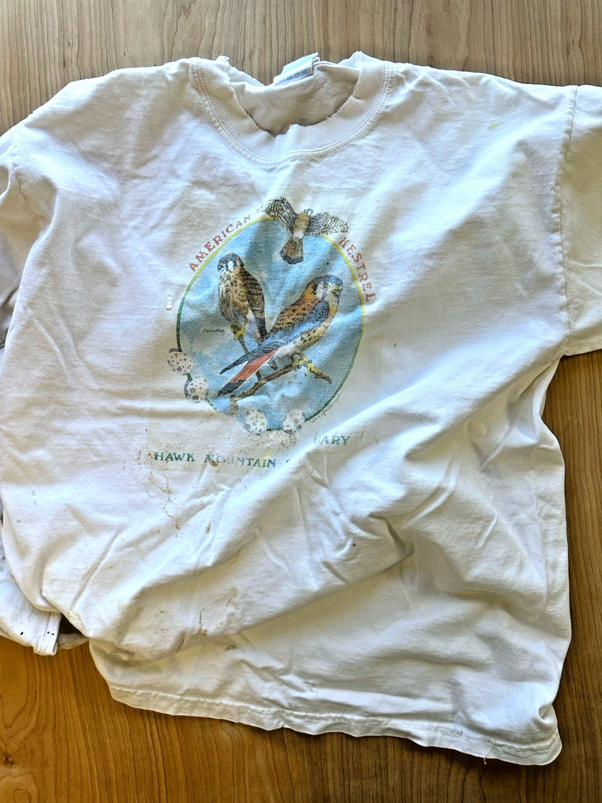 Hawk Mountain Sanctuary vintage Long Sleeve t shirt American Kestrel faded