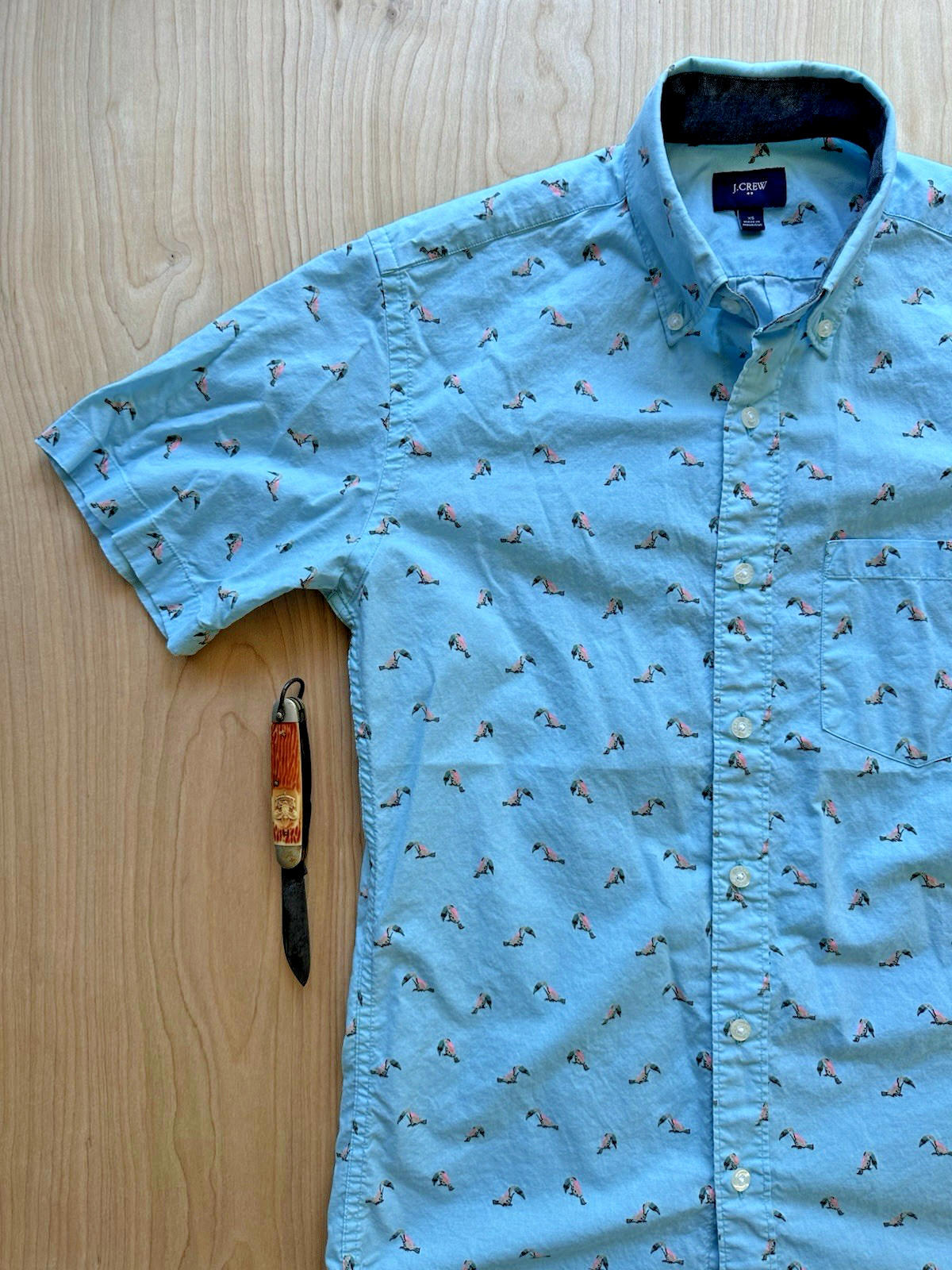 J CREW OXFORD tucan print BUTTON UP teal TROPICAL xtra small PREPPY