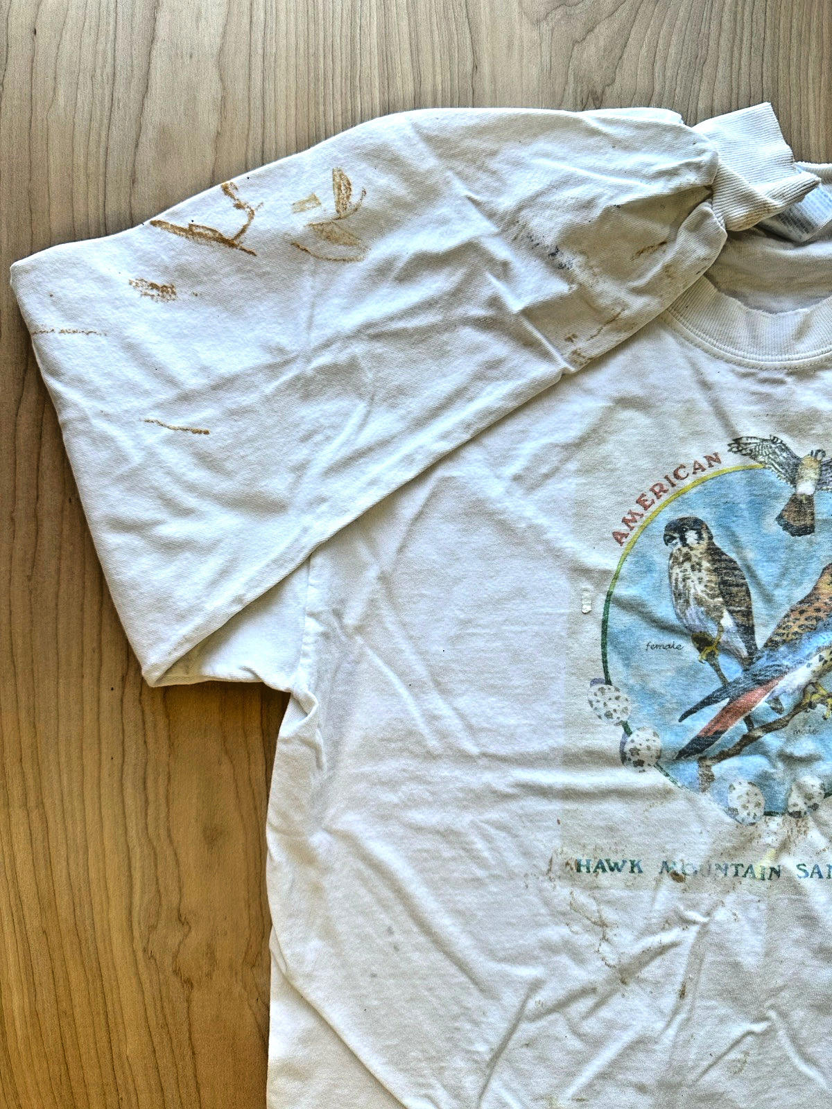 Hawk Mountain Sanctuary vintage Long Sleeve t shirt American Kestrel faded
