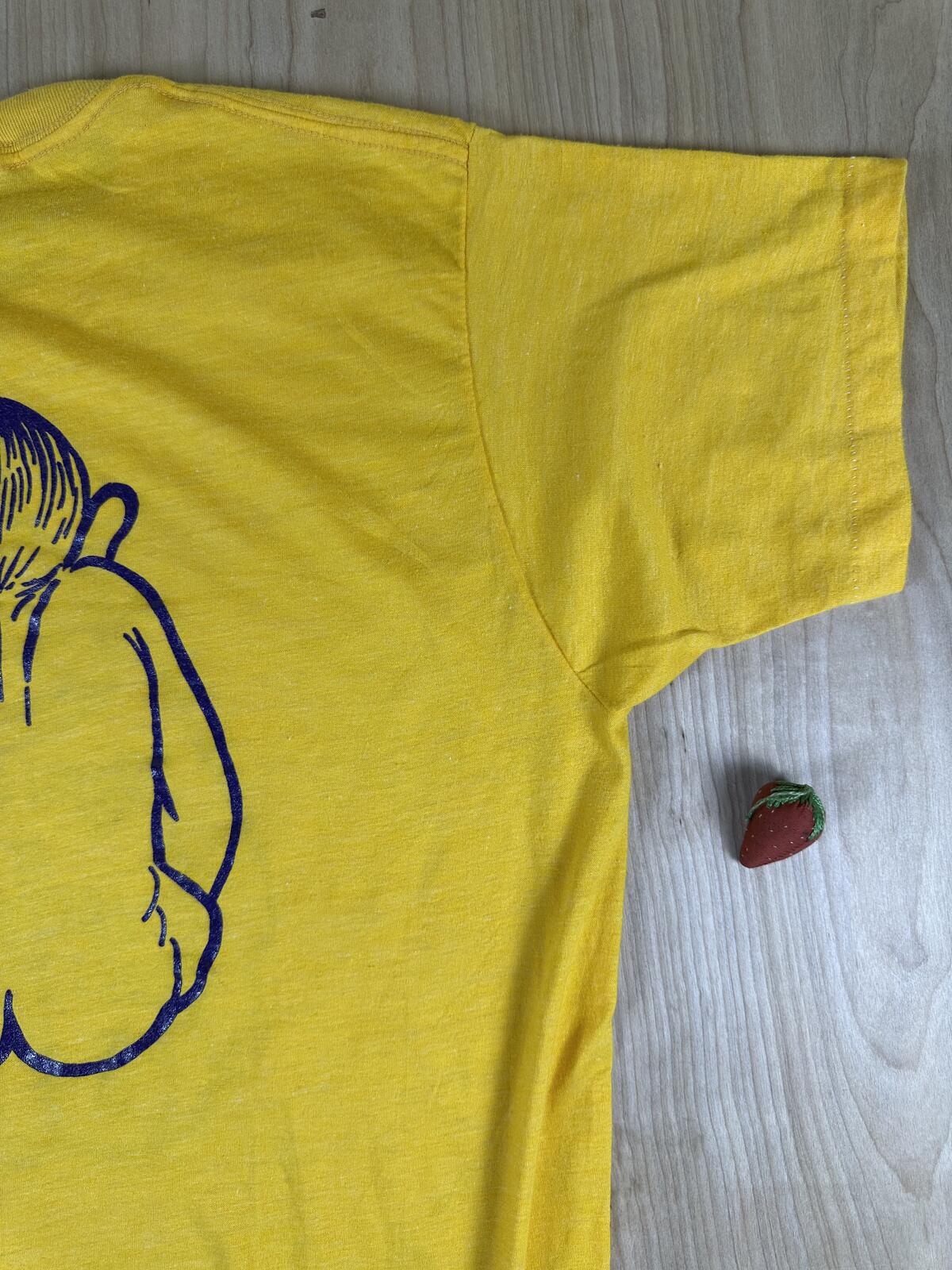 Vintage 70s Royal Order of Jesters tshirt Single Stitch made in usa xlarge butt