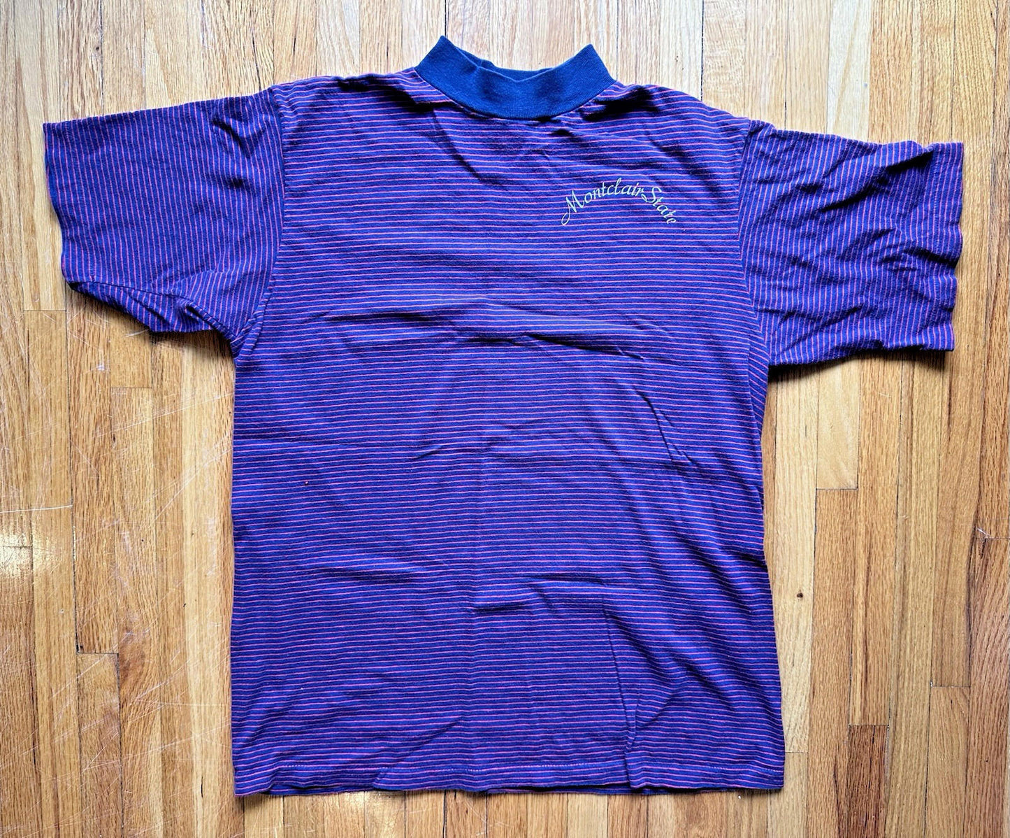 1969 CHAMPION vintage striped MONTCLAIR STATE UNIVERSITY shirt mock neck NJ