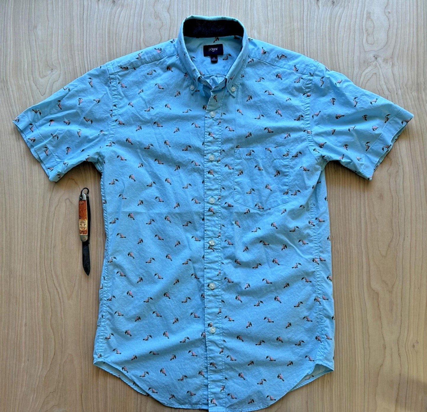 J CREW OXFORD tucan print BUTTON UP teal TROPICAL xtra small PREPPY