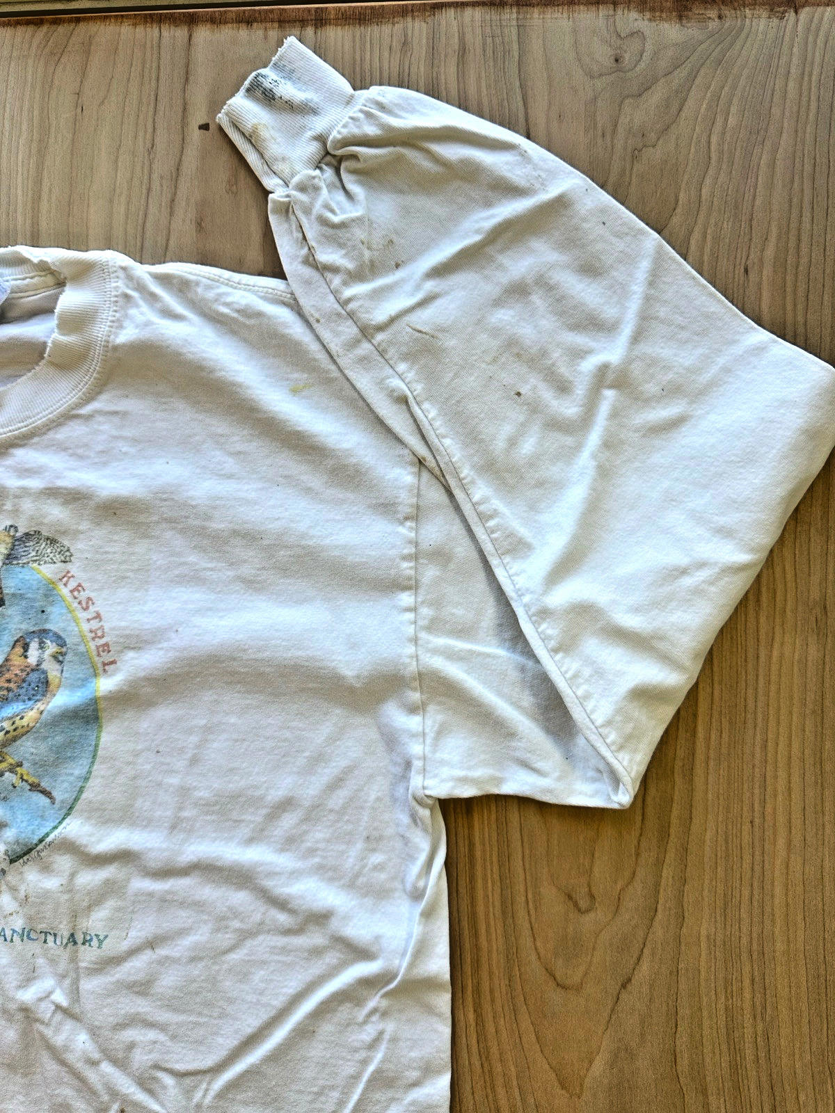 Hawk Mountain Sanctuary vintage Long Sleeve t shirt American Kestrel faded