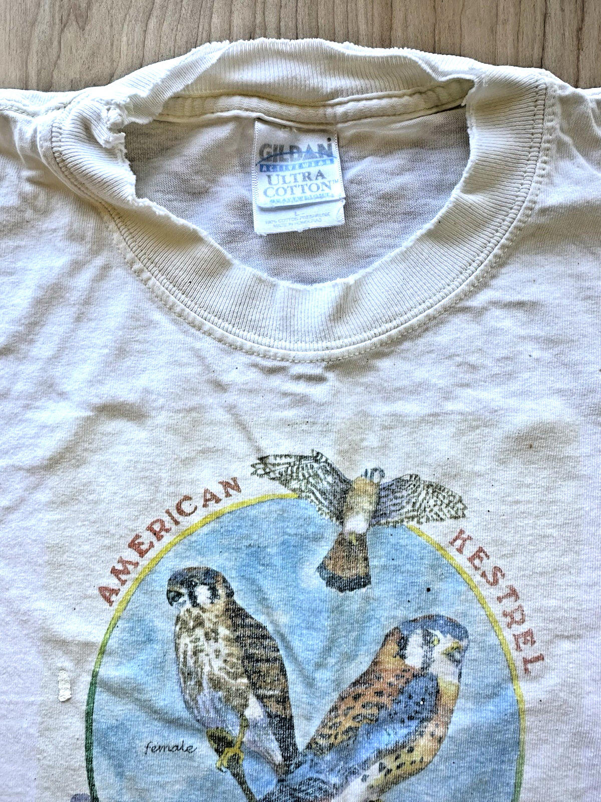 Hawk Mountain Sanctuary vintage Long Sleeve t shirt American Kestrel faded