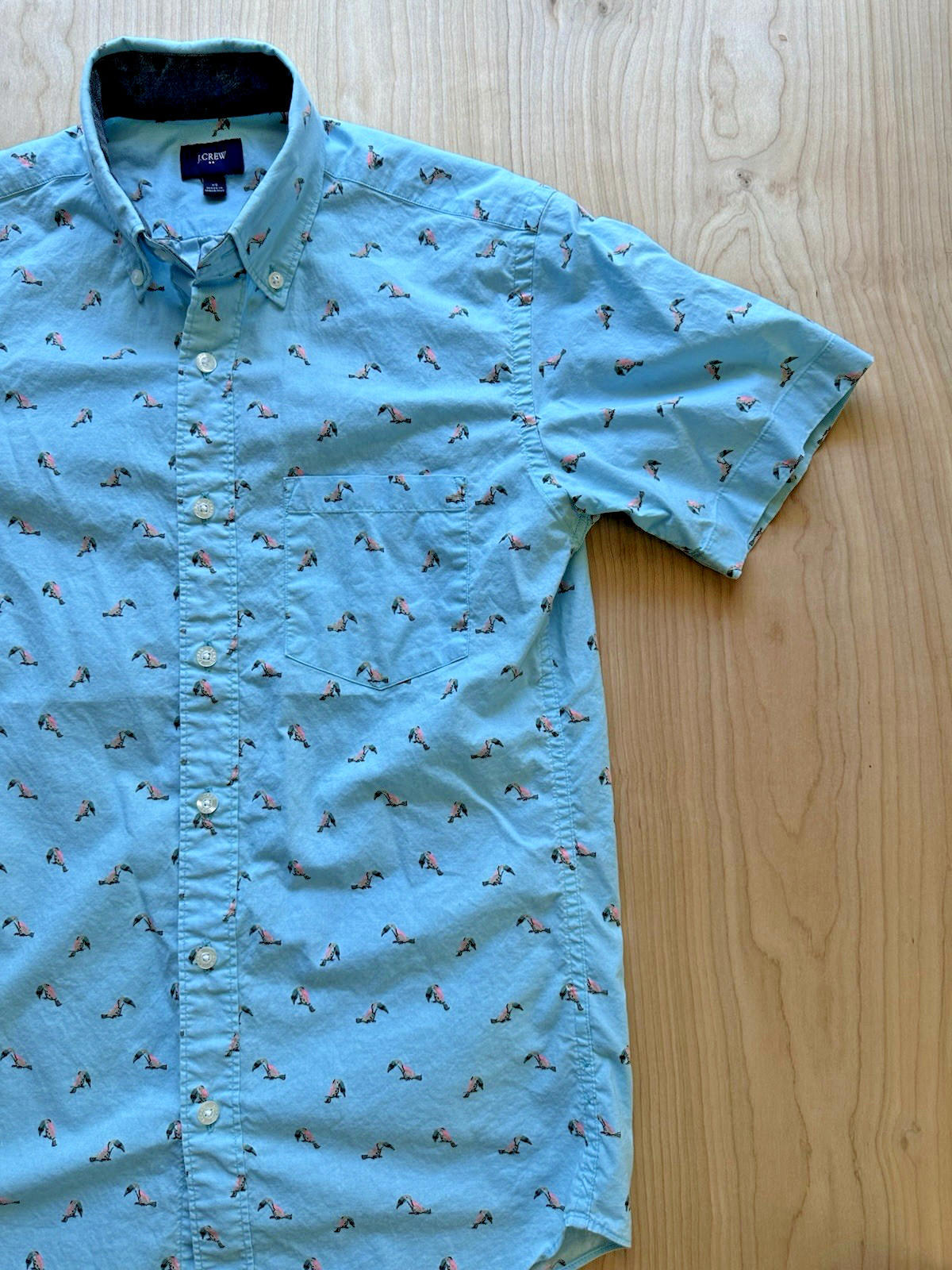 J CREW OXFORD tucan print BUTTON UP teal TROPICAL xtra small PREPPY