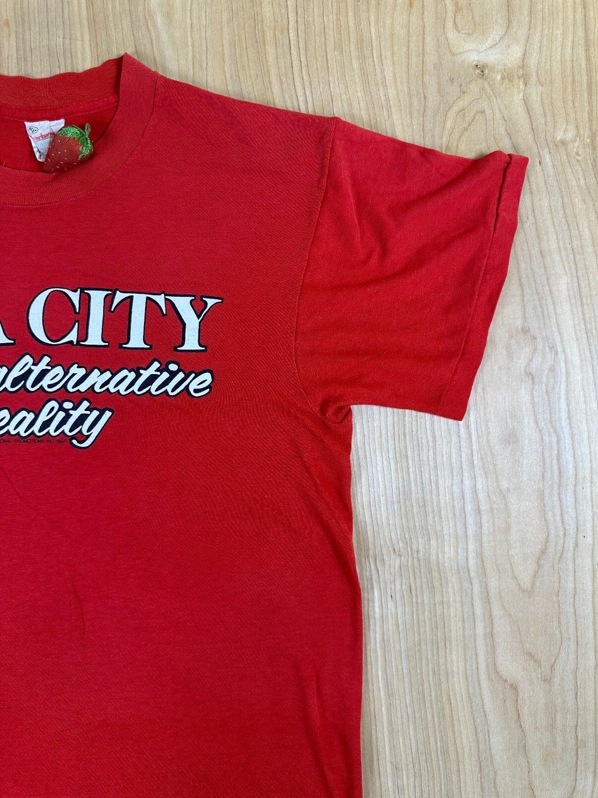 Vintage 80s Iowa City an alternative to reality tshirt Single Stitch made in usa