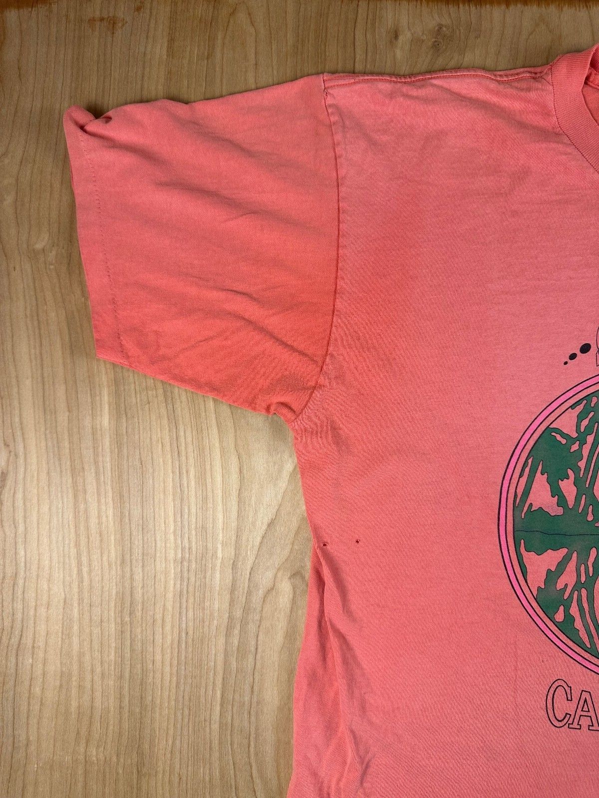 Vintage 80s San Deigo California tshirt Single Stitch xl cotton flamingo faded