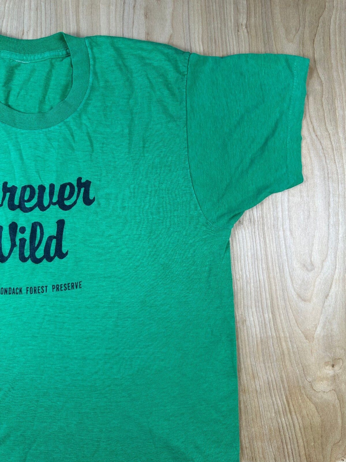 Vintage 80s Forever Wild Adirondack Forest Preserve tshirt Single Stitch nature